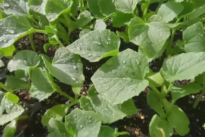 640.webp (1)_副本.jpg