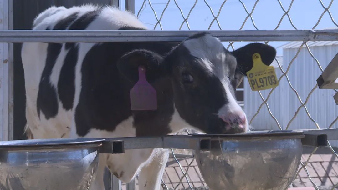 640_wx_fmt=jpeg&wxfrom=5&wx_lazy=1&wx_co=1 (1).jpg