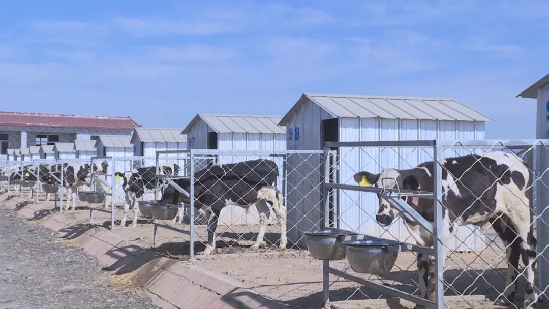 640_wx_fmt=jpeg&wxfrom=5&wx_lazy=1&wx_co=1 (2).jpg