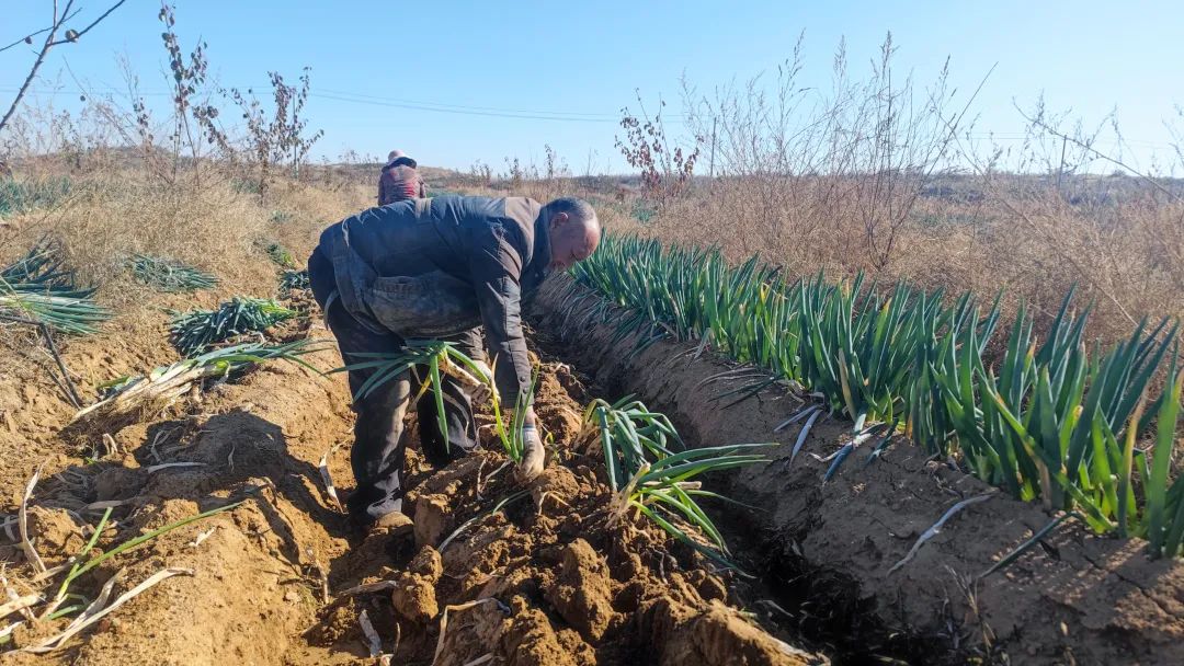 640_wx_fmt=jpeg&wxfrom=5&wx_lazy=1&wx_co=1 (4).jpg