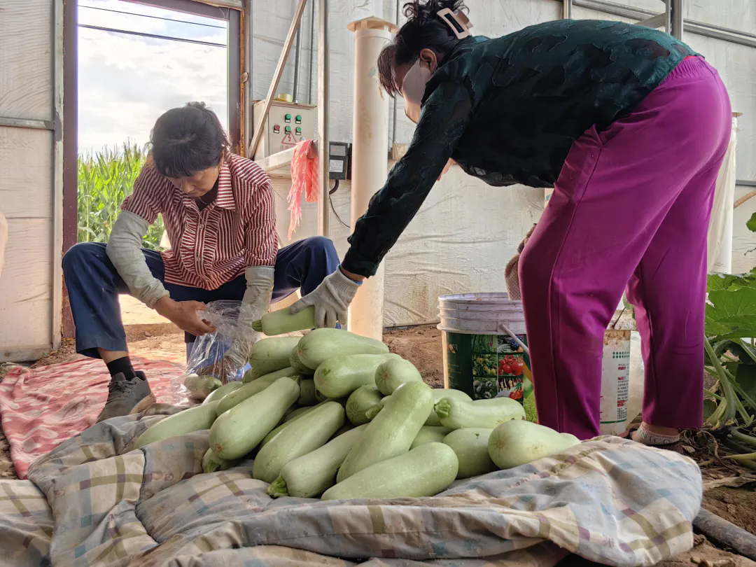 640_wx_fmt=jpeg&from=appmsg&tp=webp&wxfrom=5&wx_lazy=1&wx_co=1.webp (1).png