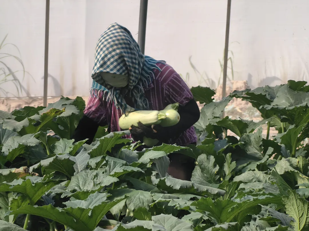 640_wx_fmt=jpeg&from=appmsg&tp=webp&wxfrom=5&wx_lazy=1&wx_co=1.webp (2).png