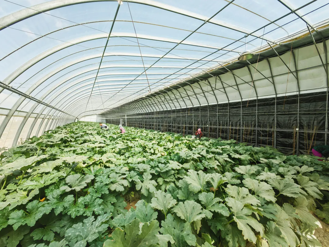 640_wx_fmt=jpeg&from=appmsg&tp=webp&wxfrom=5&wx_lazy=1&wx_co=1.webp (4).png