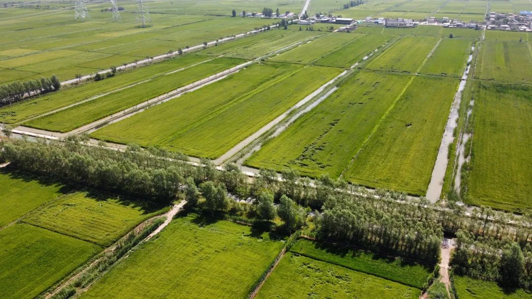 沉甸甸!数字看2023年平罗县“三农”工作