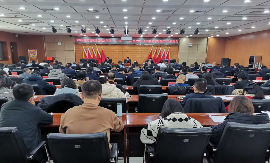 平罗县召开自治区党委巡视发现突出问题