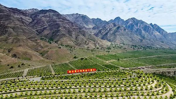 640_wx_fmt=jpeg&wxfrom=5&wx_lazy=1&wx_co=1 (8).jpg