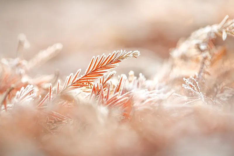 640_wx_fmt=jpeg&wxfrom=5&wx_lazy=1&wx_co=1 (8).jpg