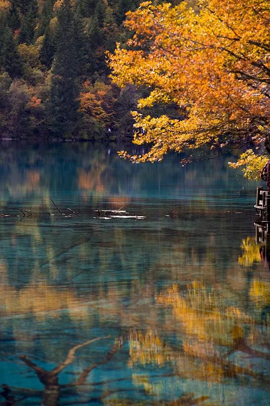 640_wx_fmt=jpeg&wxfrom=5&wx_lazy=1&wx_co=1 (9).jpg