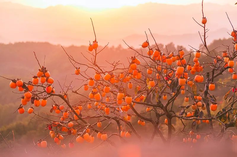 640_wx_fmt=jpeg&wxfrom=5&wx_lazy=1&wx_co=1 (10).jpg