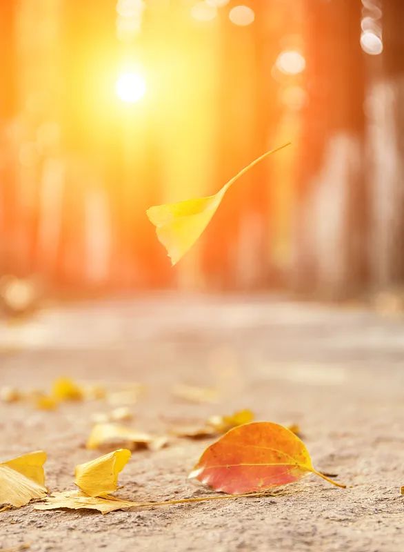 640_wx_fmt=jpeg&from=appmsg&wxfrom=5&wx_lazy=1&wx_co=1 (1).jpg