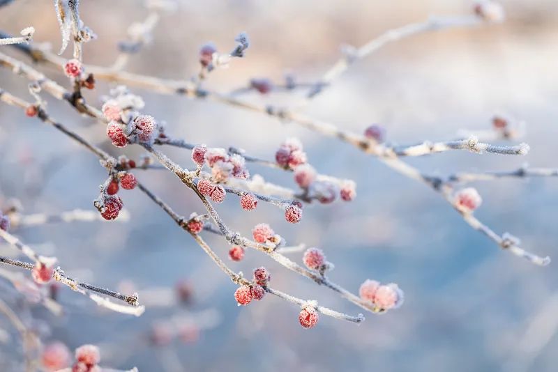 640_wx_fmt=jpeg&from=appmsg&wxfrom=5&wx_lazy=1&wx_co=1 (2).jpg