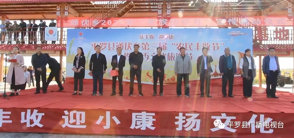 11.webp.jpg 11.webp.jpg