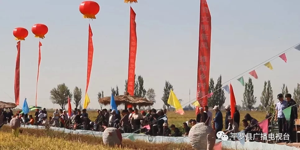 12.webp.jpg 12.webp.jpg