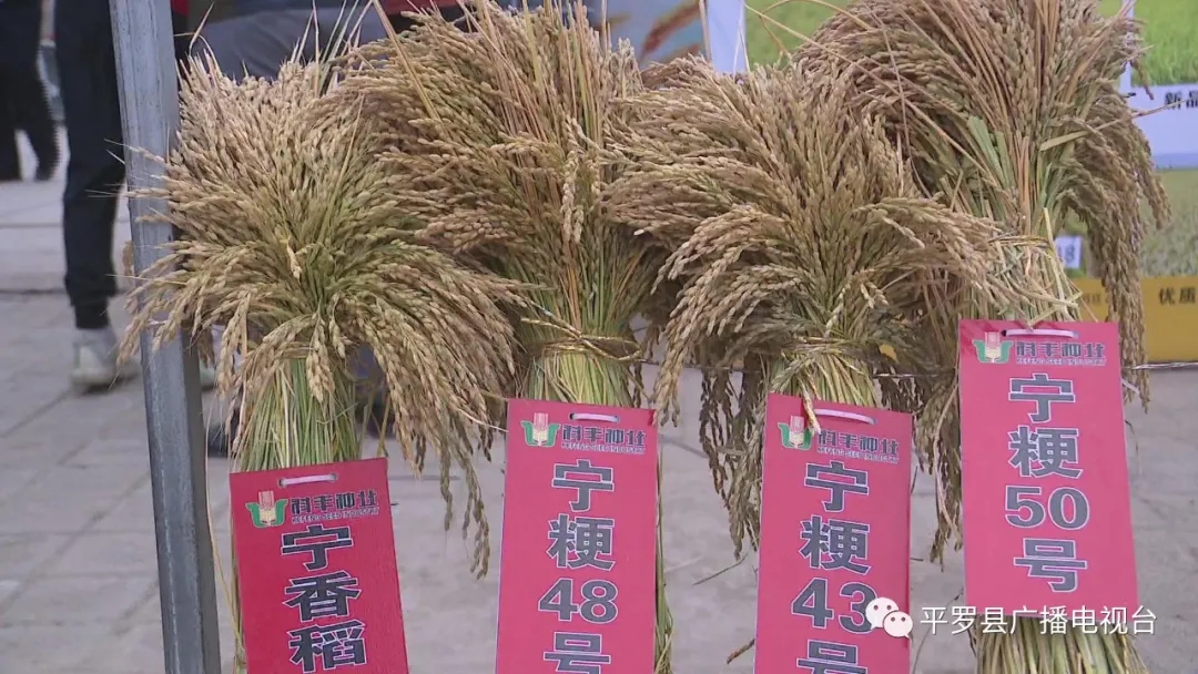 5.webp.jpg 5.webp.jpg