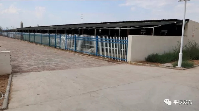 10.webp.jpg 10.webp.jpg