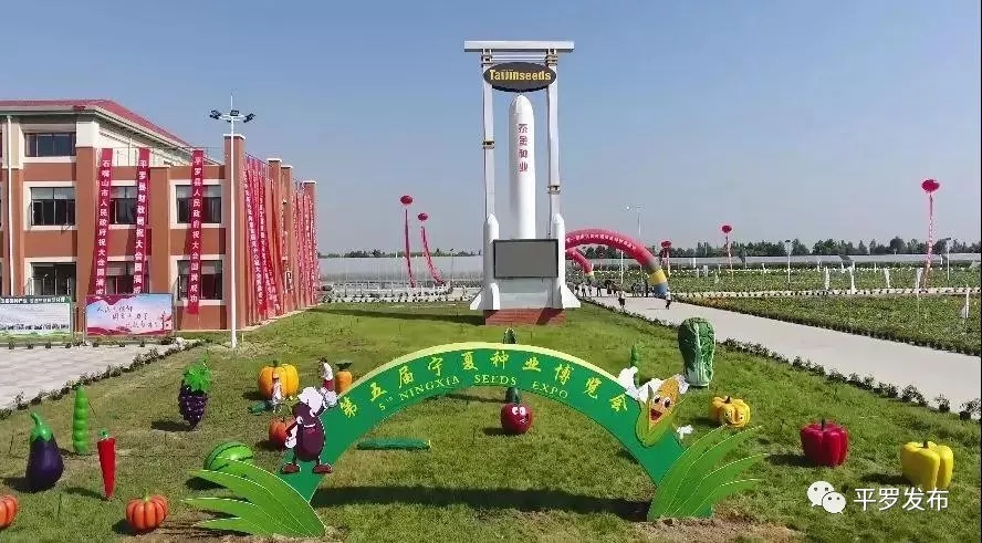 5.webp.jpg 5.webp.jpg