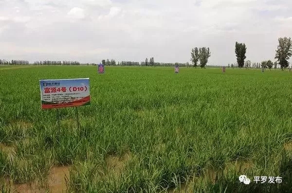 6.webp.jpg 6.webp.jpg