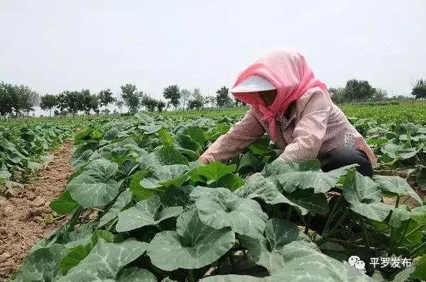 7.webp.jpg 7.webp.jpg