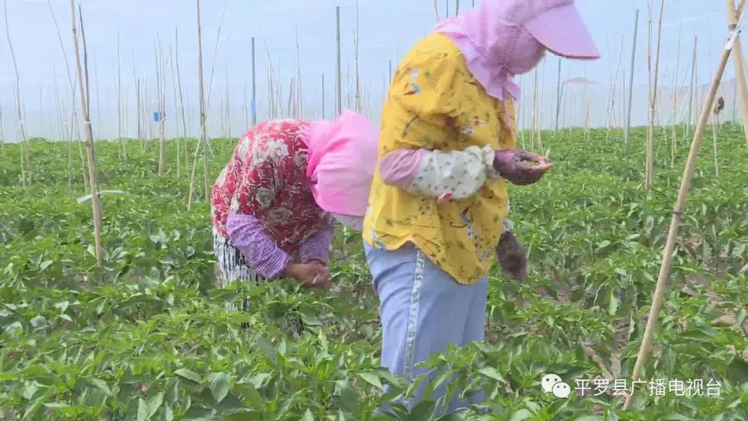 微信图片_20200707110226.jpg 微信图片_20200707110226.jpg