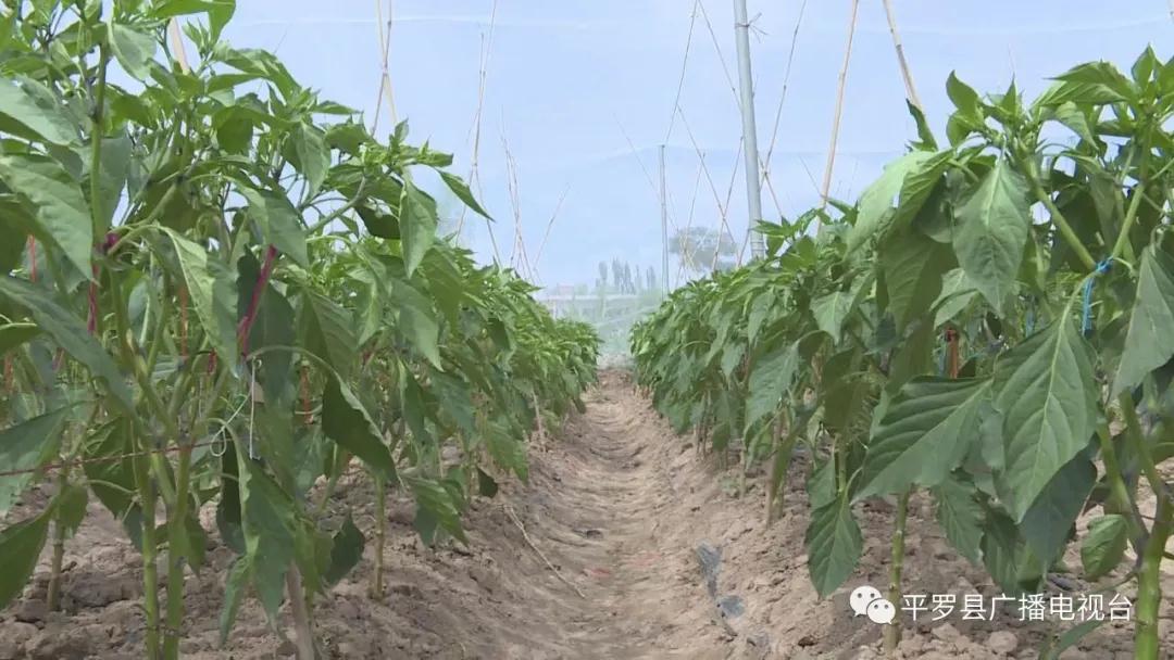 微信图片_20200707110232.jpg 微信图片_20200707110232.jpg