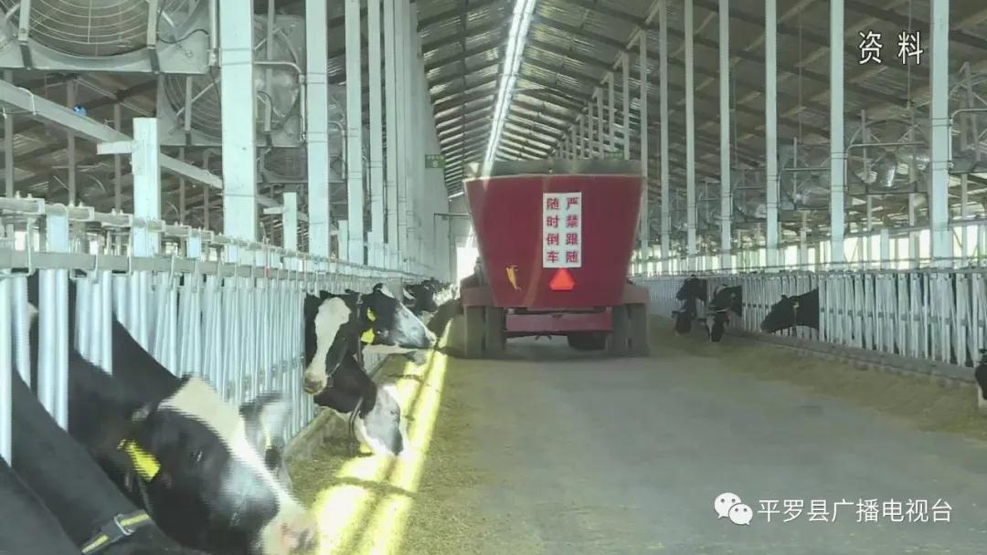 微信图片_20200713144048.jpg 微信图片_20200713144048.jpg