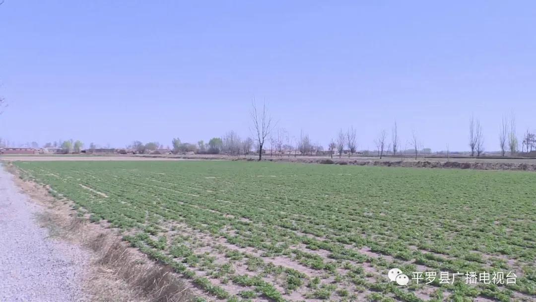 微信图片_20200713144056.jpg 微信图片_20200713144056.jpg