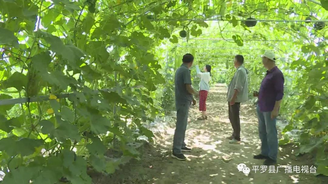 微信图片_20200722172142.jpg 微信图片_20200722172142.jpg