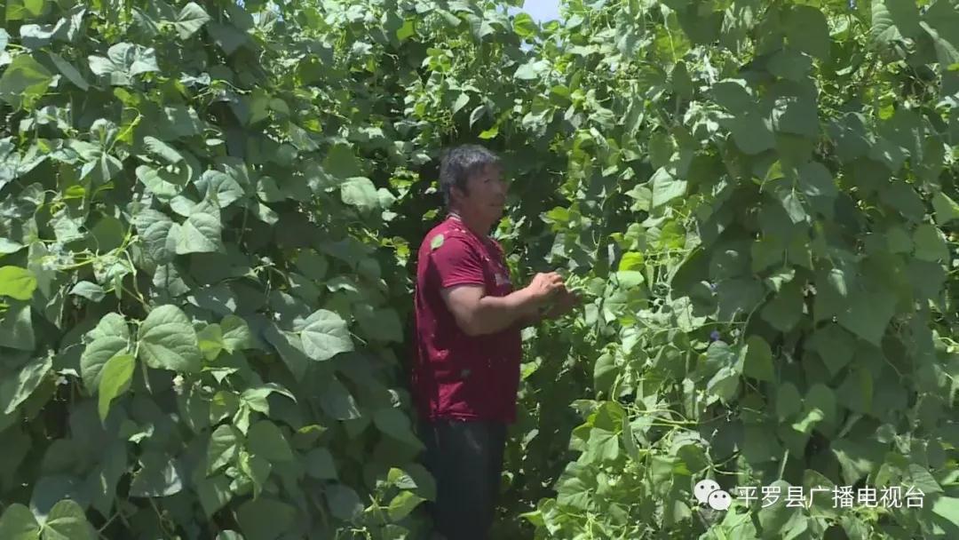 微信图片_20200722172150.jpg 微信图片_20200722172150.jpg