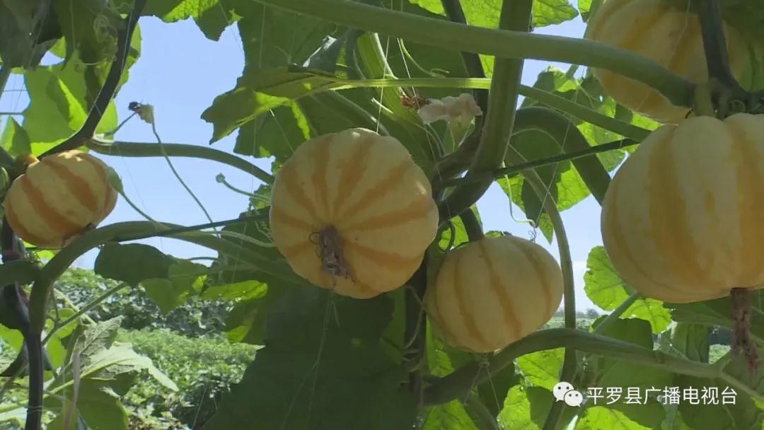 微信图片_20200722172157.jpg 微信图片_20200722172157.jpg