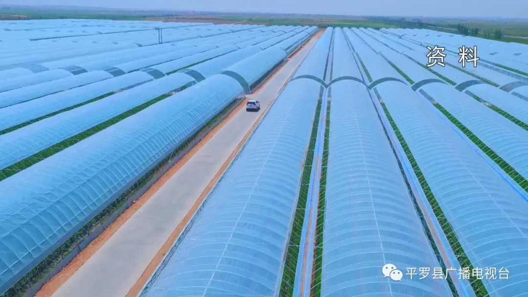 1.webp.jpg 1.webp.jpg