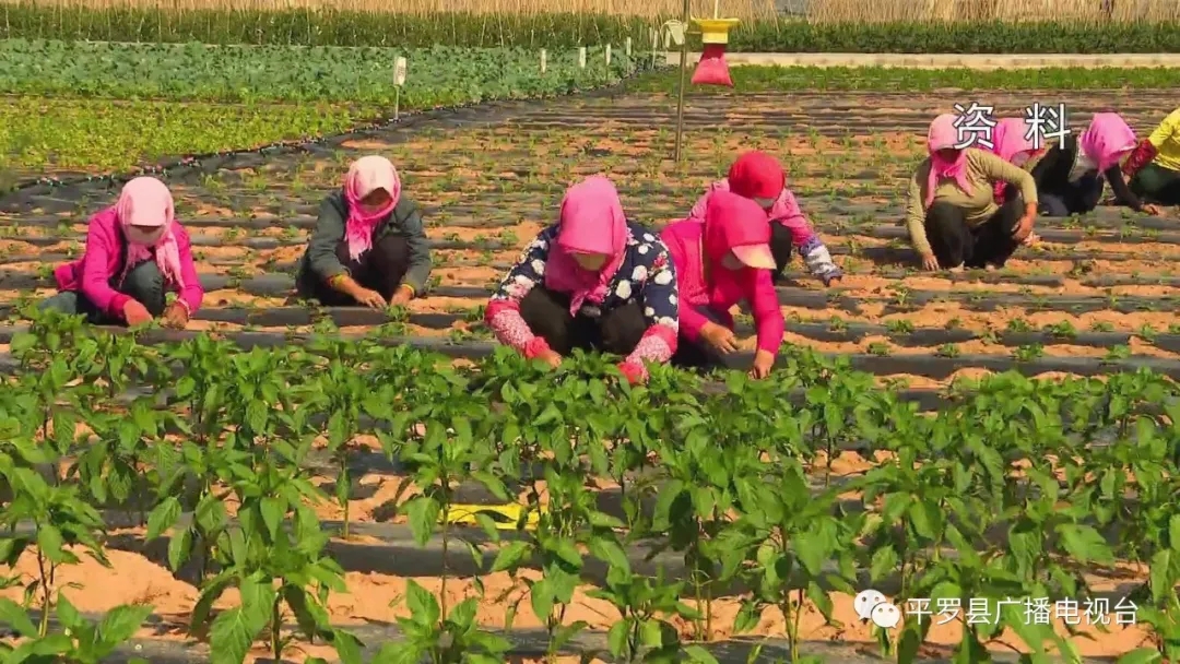 2.webp.jpg 2.webp.jpg