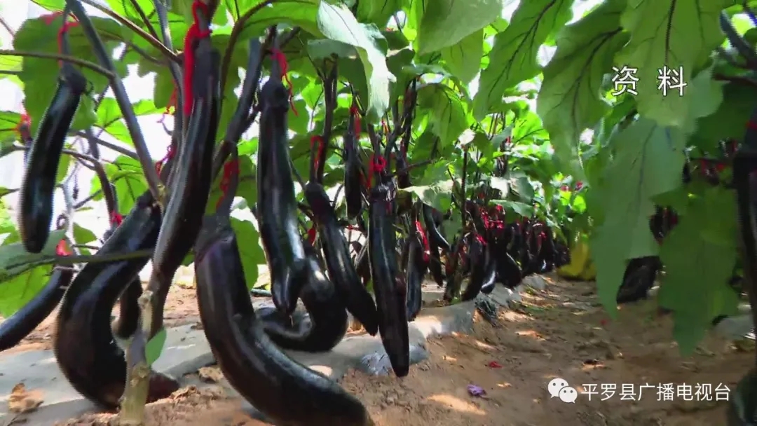 3.webp.jpg 3.webp.jpg