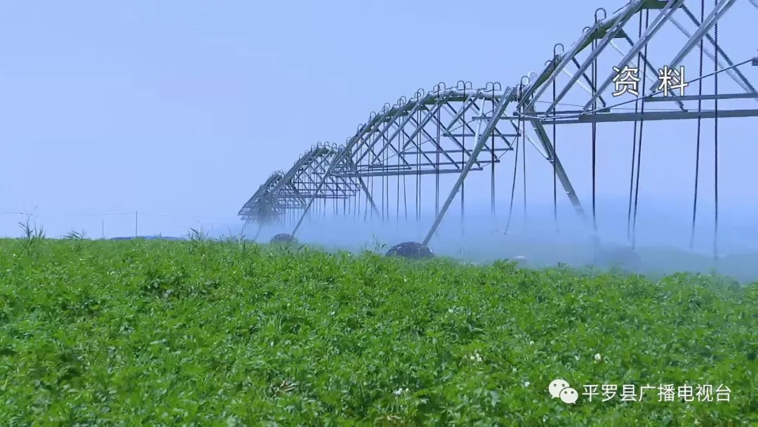 4.webp.jpg 4.webp.jpg