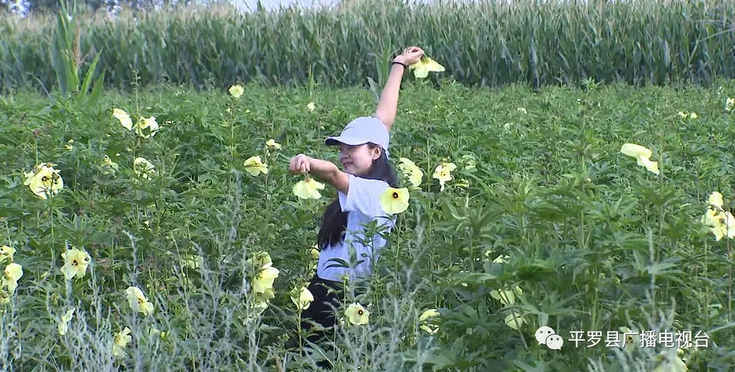 1.webp.jpg 1.webp.jpg