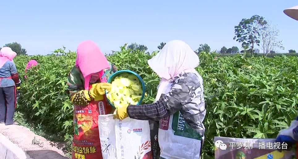 2.webp.jpg 2.webp.jpg