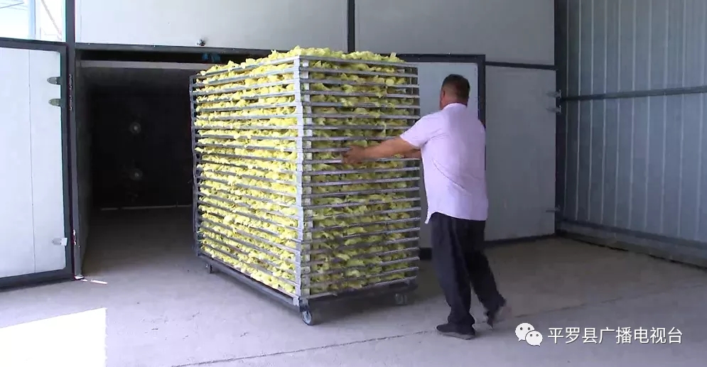 3.webp.jpg 3.webp.jpg