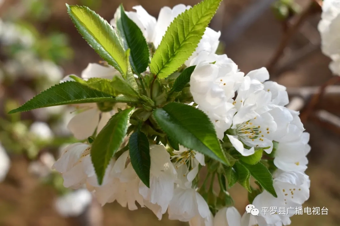 3.webp.jpg 3.webp.jpg