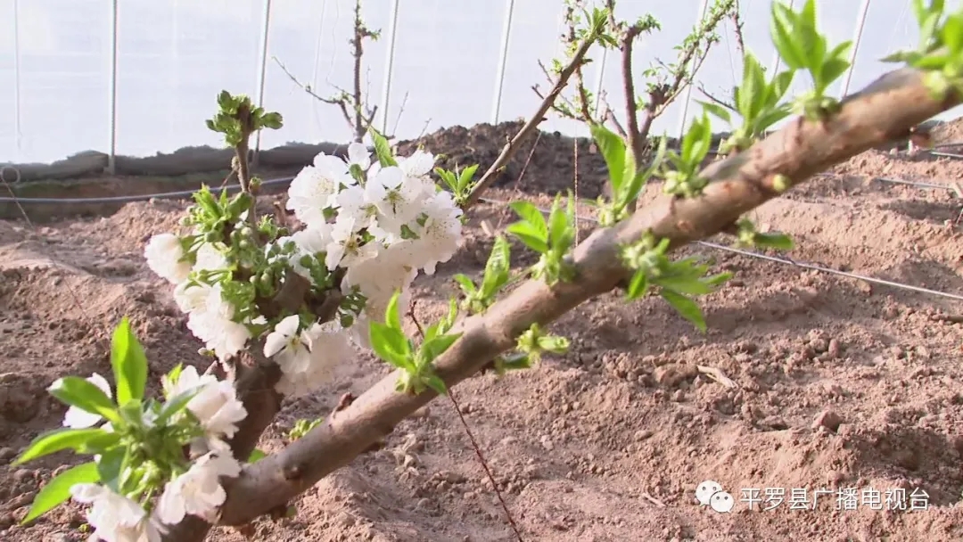 4.webp.jpg 4.webp.jpg