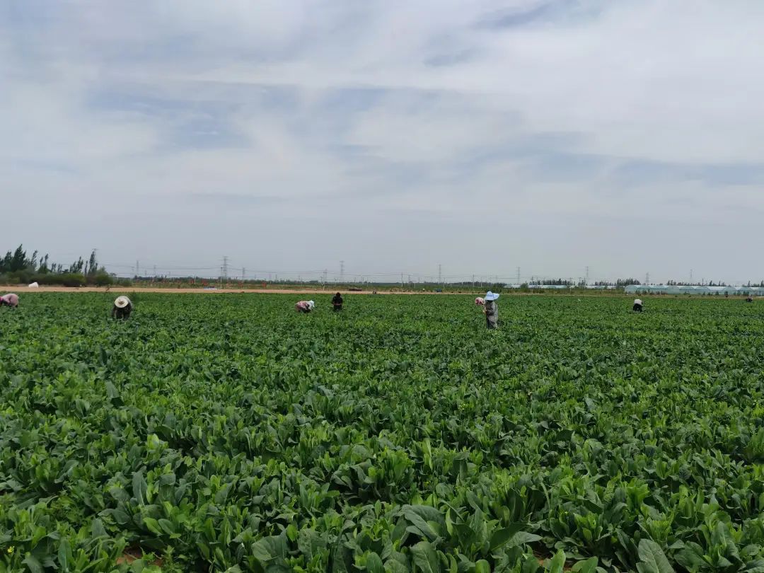 640_wx_fmt=jpeg&wxfrom=5&wx_lazy=1&wx_co=1 (1).jpg