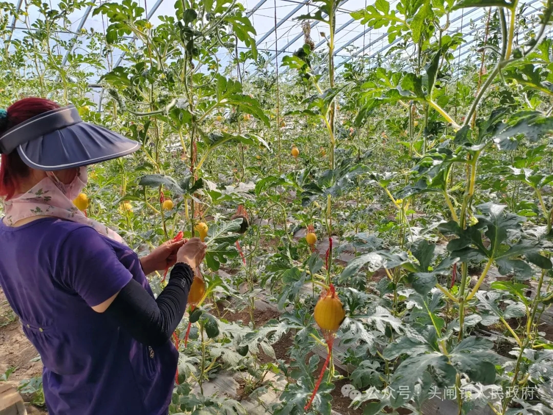 640_wx_fmt=jpeg&from=appmsg&tp=webp&wxfrom=5&wx_lazy=1&wx_co=1.webp (3).jpg