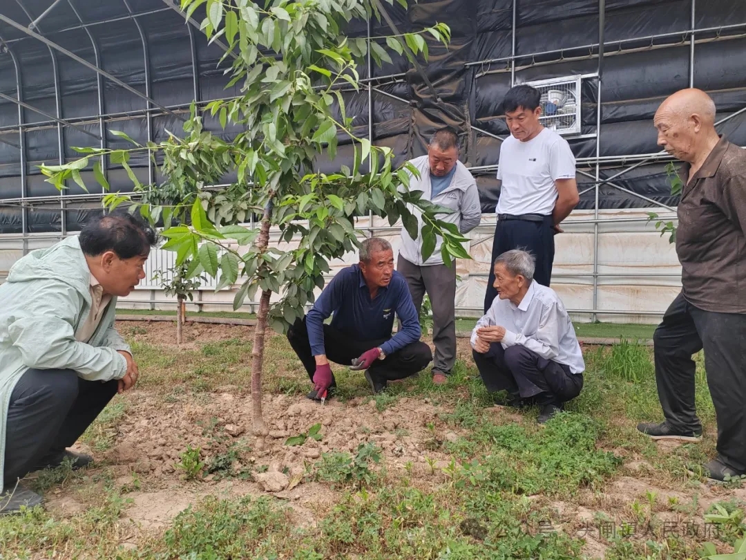 640_wx_fmt=jpeg&from=appmsg&tp=webp&wxfrom=5&wx_lazy=1&wx_co=1.webp (5).jpg