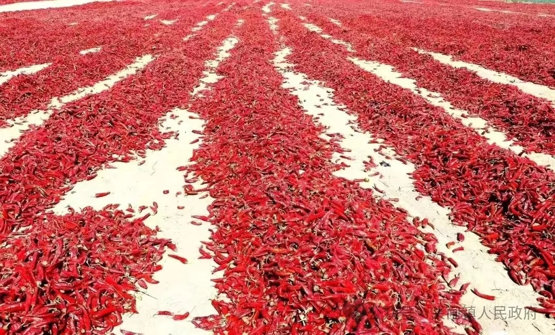 640_wx_fmt=jpeg&from=appmsg&tp=webp&wxfrom=5&wx_lazy=1&wx_co=1.webp (12).jpg