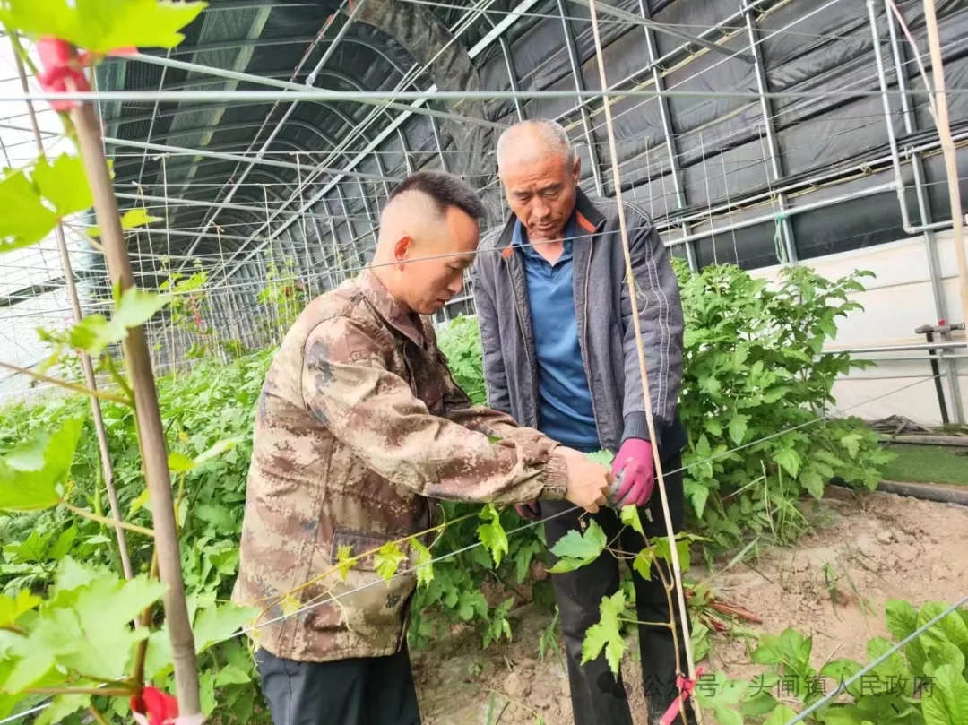 640_wx_fmt=jpeg&from=appmsg&tp=webp&wxfrom=5&wx_lazy=1&wx_co=1.webp (6).jpg