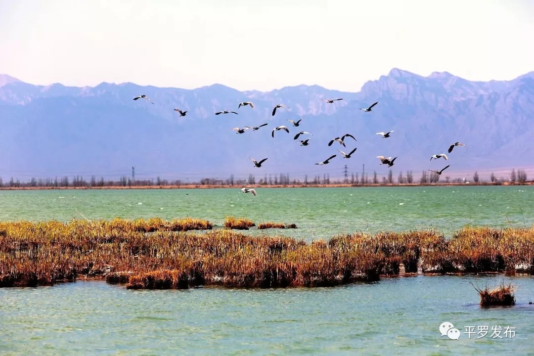 640.webp (2).jpg 640.webp (2).jpg