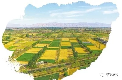 640.webp.jpg 640.webp.jpg