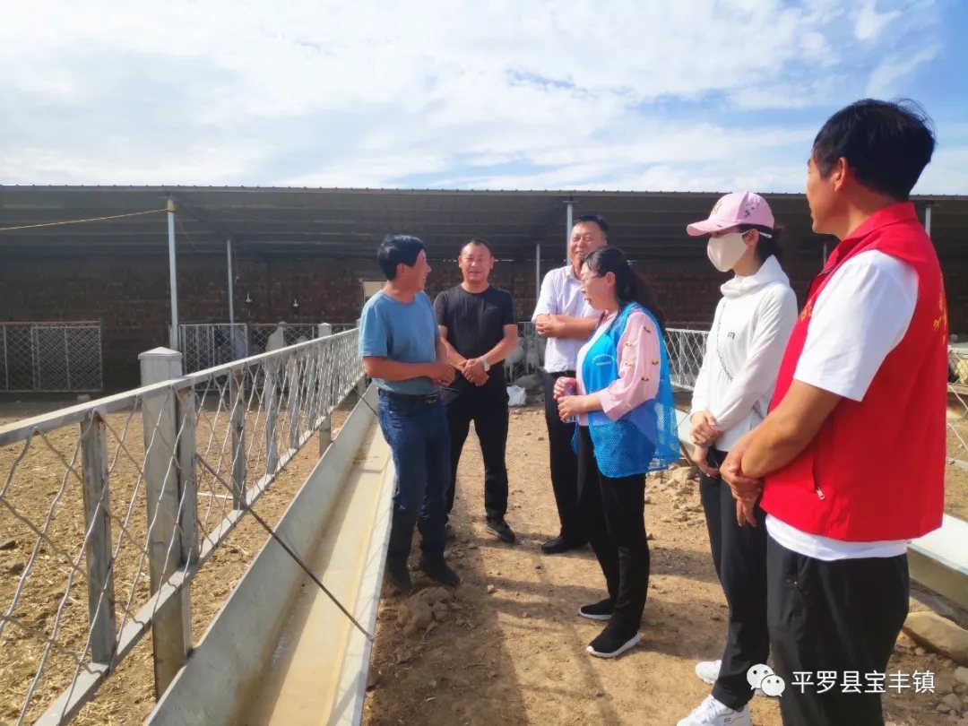 3.webp.jpg 3.webp.jpg