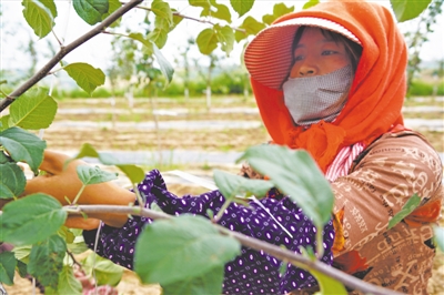 W020200724334193711619.jpg W020200724334193711619.jpg