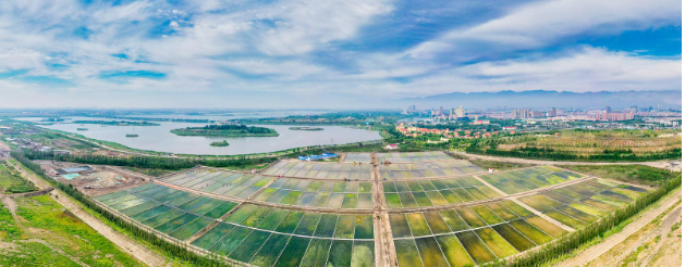 640_wx_fmt=png&wxfrom=5&wx_lazy=1&wx_co=1 (5).png