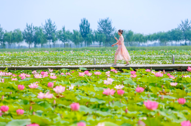 640_wx_fmt=png&wxfrom=5&wx_lazy=1&wx_co=1 (8).png