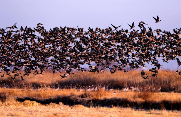 640_wx_fmt=png&wxfrom=5&wx_lazy=1&wx_co=1 (9).png